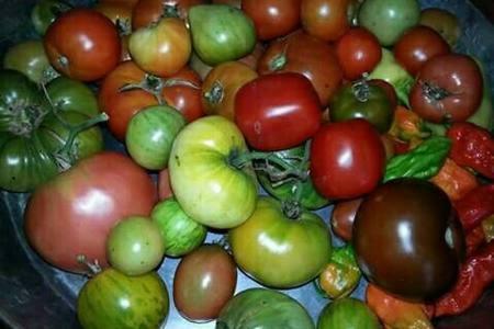 شقة Kuca Skrabic Baška Voda المظهر الخارجي الصورة
